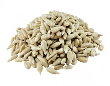 słonecznik łuskany